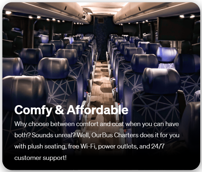 comfy and affordable